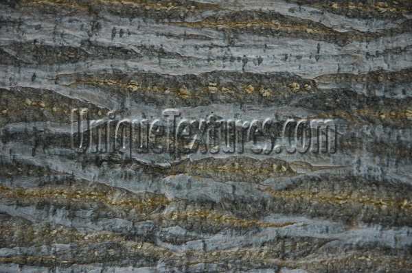 bark random natural wood tree/plant gray  