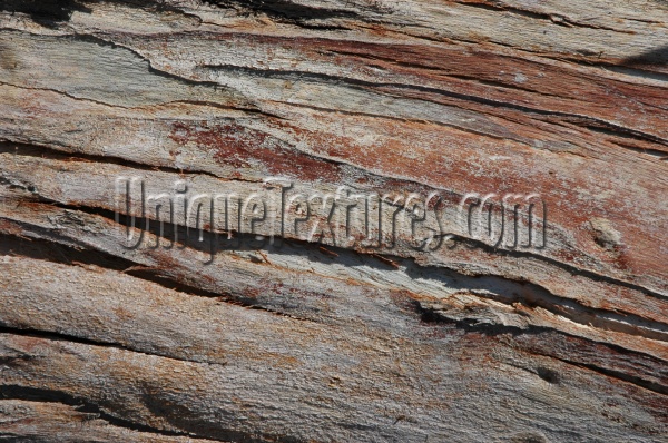 bark random cracked/chipped weathered natural wood tree/plant dark brown  