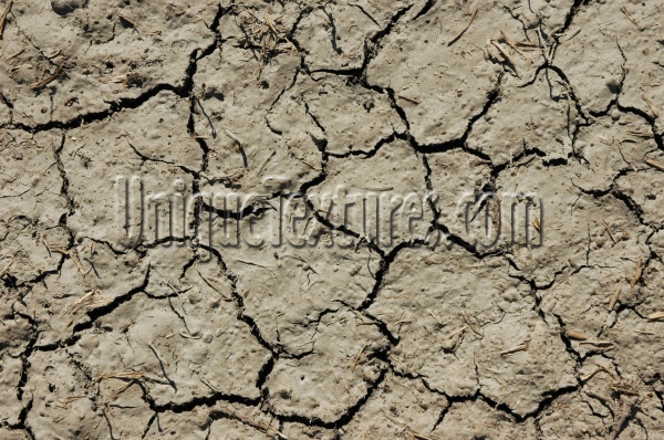 cracked/chipped weathered natural earth tan/beige floor    