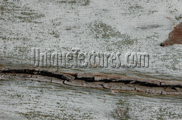 bark horizontal cracked/chipped natural wood tree/plant gray   