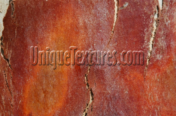 bark random natural wood tree/plant red      