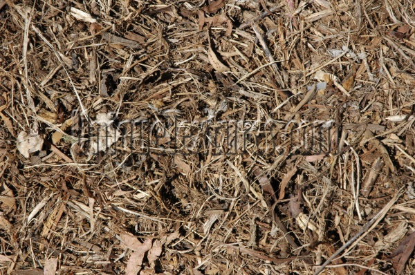 floor random dead natural grass dark brown    