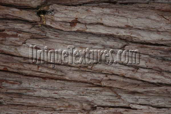 bark rough natural   tree/plant dark brown