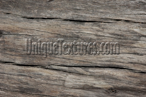 cracked/chipped     weathered natural tree/plant dark brown