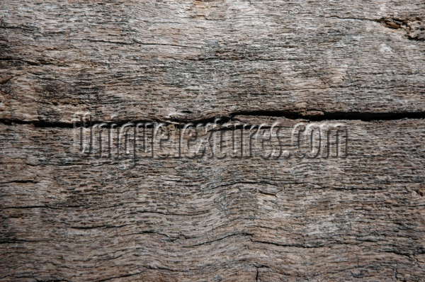 bark random natural tree/plant dark brown    