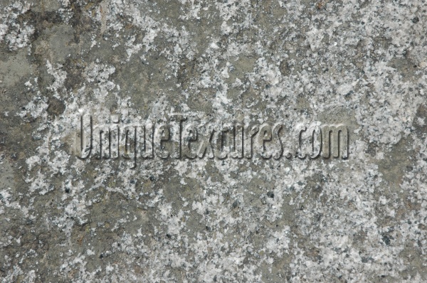 igneous spots natural stone gray     