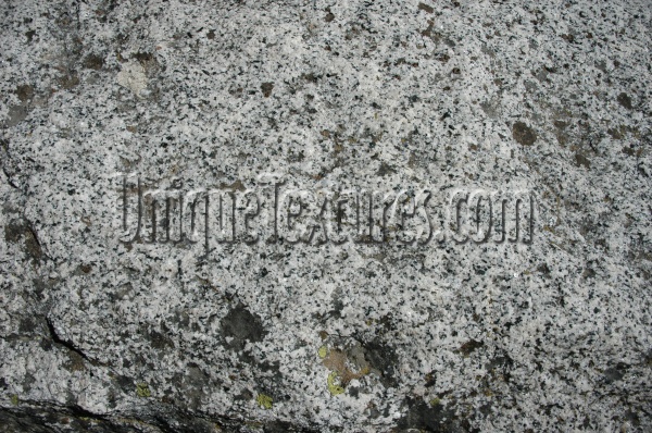 igneous spots natural stone gray