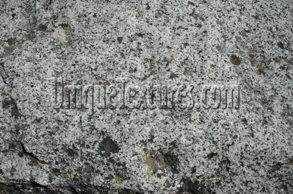 igneous spots natural stone gray