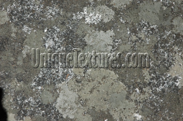 spots natural stone gray    