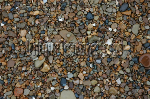 floor spots wet natural stone multicolored gravel     