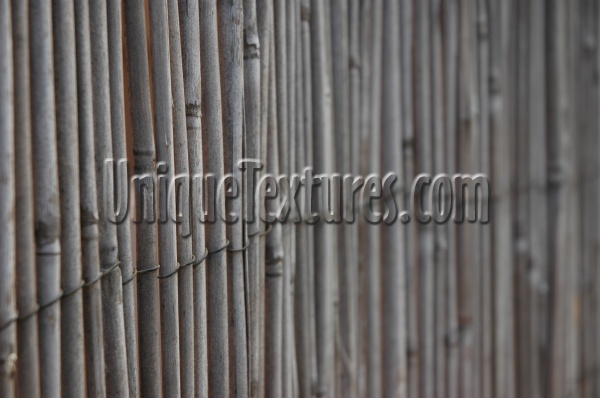 fence vertical oblique natural   tree/plant dark brown