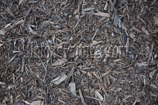 roots/twigs floor random natural earth gray   