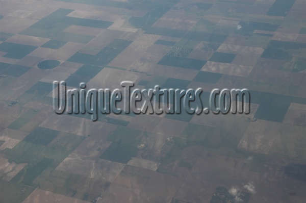 square oblique agricultural tree/plant multicolored   