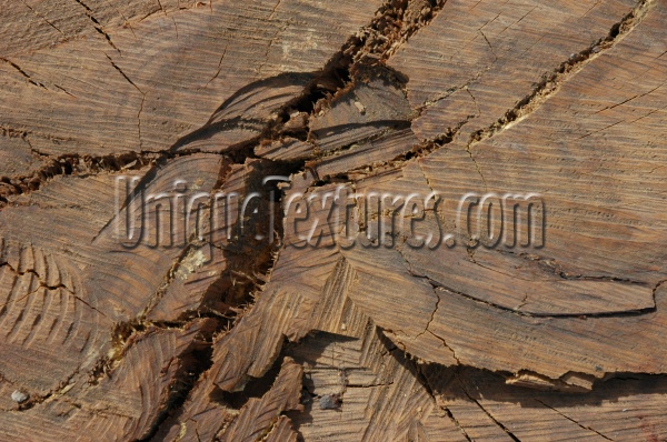 cracked/chipped natural wood dark brown  