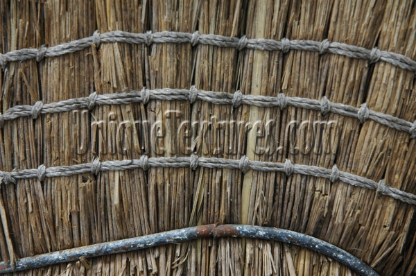 vertical weathered industrial grass  dark brown