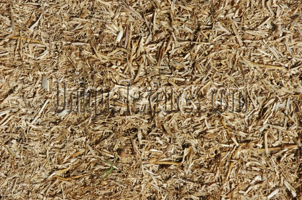 floor random dead natural grass tan/beige