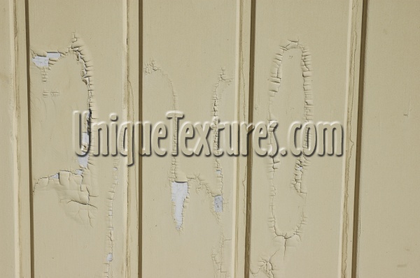boards fence vertical grooved cracked/chipped architectural wood paint white     