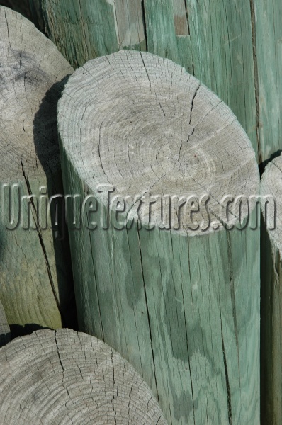 vertical weathered bleached marine wood green   