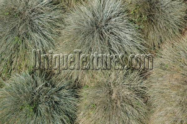 floor natural grass gray
