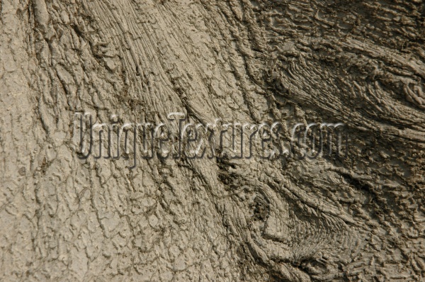 bark cracked/chipped rough natural tree/plant dark brown