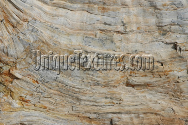 tan/beige stone tree/plant wood natural rough horizontal  