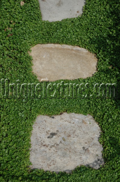 floor architectural natural grass stone gray green    