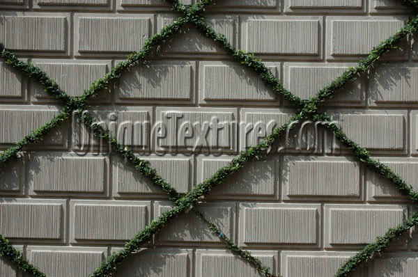 green gray tree/plant concrete architectural rectangular angled wall    