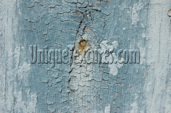 blue paint wood architectural weathered cracked/chipped vertical fence boards