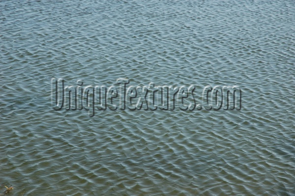 green liquid natural marine shiny curves