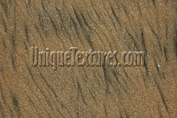random wet marine natural sand dark brown