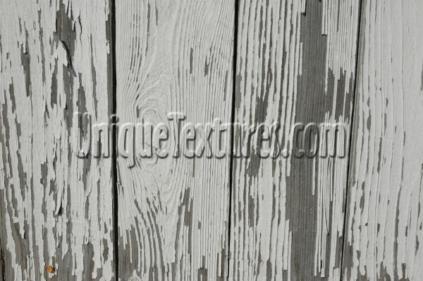 fence boards vertical cracked/chipped weathered architectural wood paint white gray