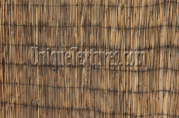 slats fence vertical weathered stained art/design architectural tree/plant dark brown