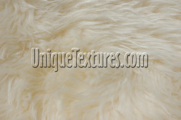 random furry natural fabric animal white