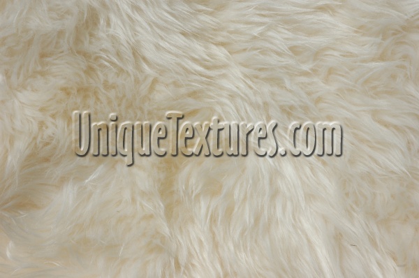random furry natural fabric animal white