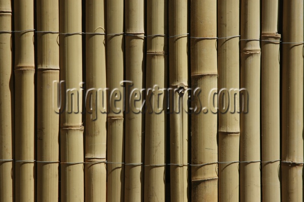 tan/beige tree/plant wood architectural shadow vertical fence