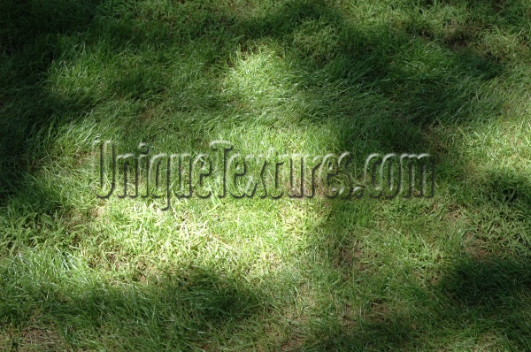 green grass natural shadow random oblique floor
