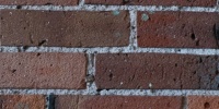 wall rectangular architectural brick dark brown   