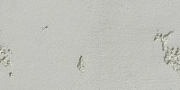 wall random architectural stucco/plaster white  