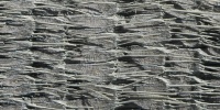 bark cracked/chipped natural wood gray