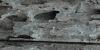 weathered industrial wood gray   