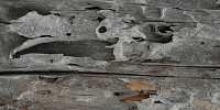 cracked/chipped industrial wood gray   