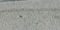 cracked/chipped industrial concrete gray floor