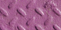 manhole diamonds pattern industrial metal paint purple