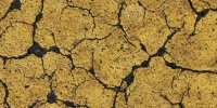 street cracked/chipped vehicle asphalt paint yellow      