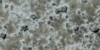 stained miscellaneous concrete gray spots