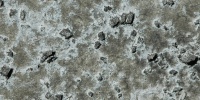 stained miscellaneous concrete gray spots