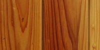 boards fence vertical pattern grooved    architectural wood dark brown