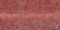 curves dirty marine fiberglass red     