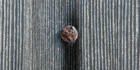 fastener vertical weathered stained marine wood gray      