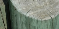 vertical weathered bleached marine wood green   